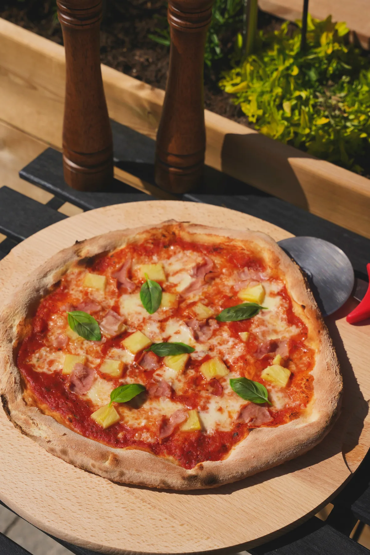 gluten free pizza